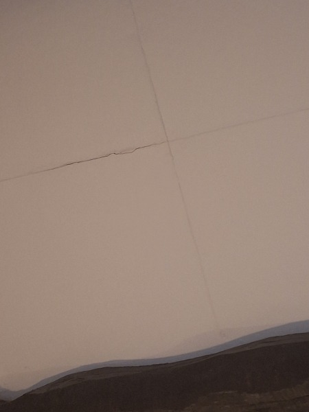 Buyer has pulled out after being spooked by survey