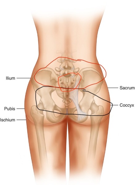 Pain in the bottom lower back! Si?