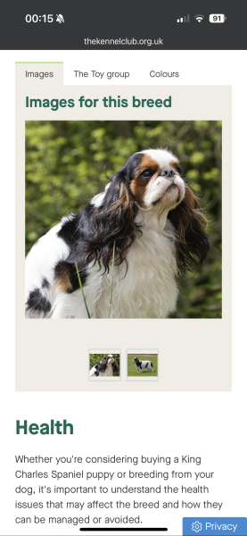 Which breed is for me?