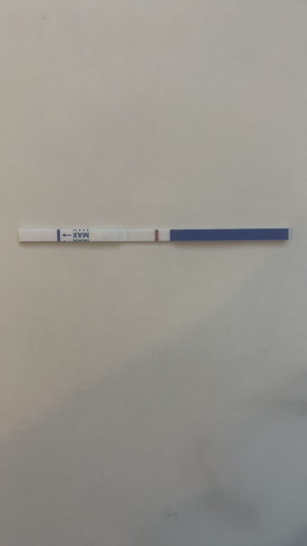 11dpo