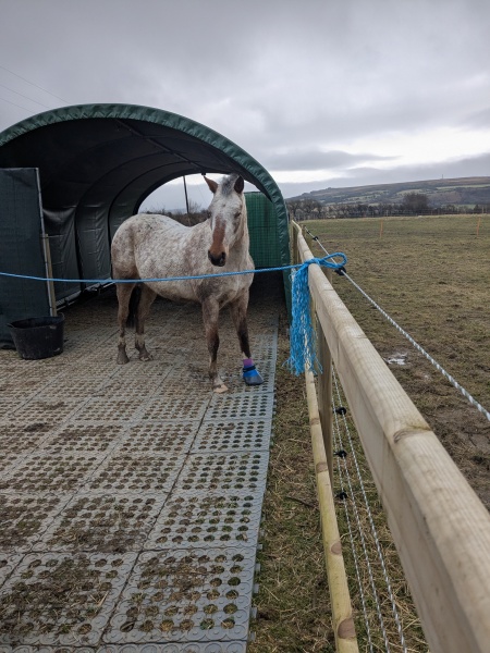 The Year Round Nigel Slater Discussion thread