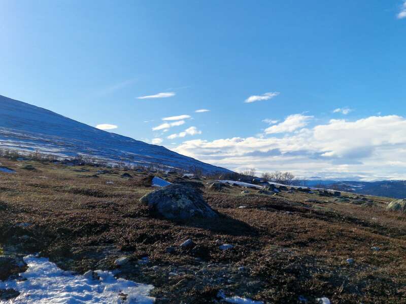 The Year Round Nigel Slater Discussion thread