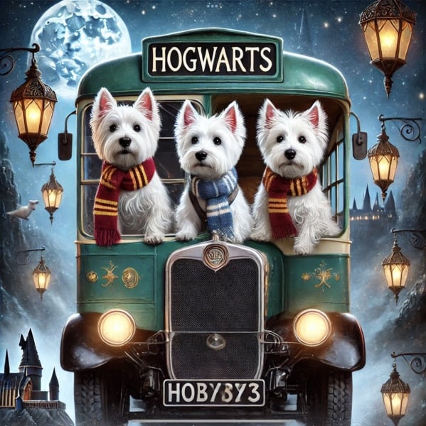 Roll up, Ladies and Gentlecreatures, the Bluestocking has been redecorated