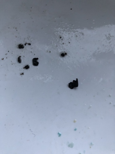 Black gunk inside Oral-B electric toothbrush head?