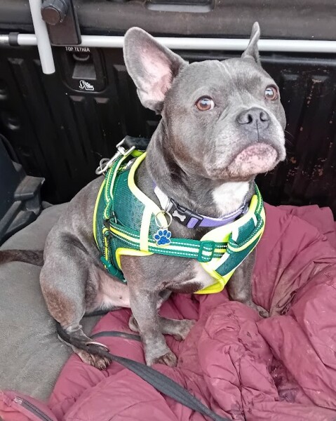 The Continuing Support Thread for Anyone Trying to Lead an Alcohol-Free Life Spring 2025