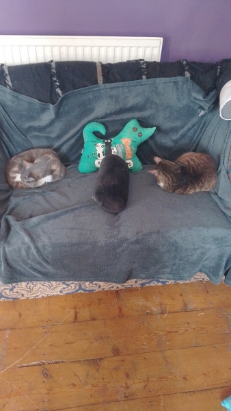 Lap dances, strippers and punch-ups - the Excellent Cats arrange a stag party