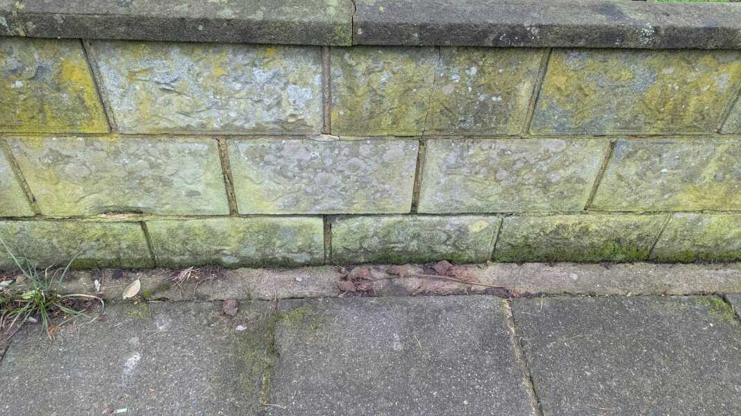So much dog poo - what can be done?