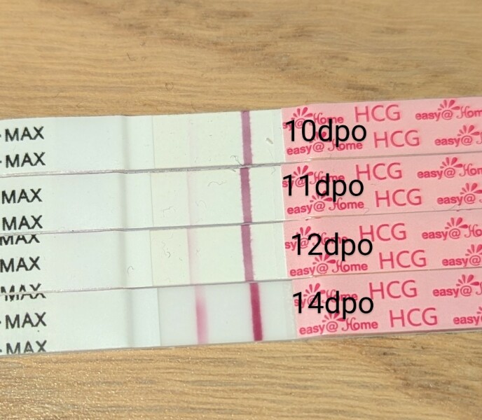 2DPO 12th Jan - anyone with me?