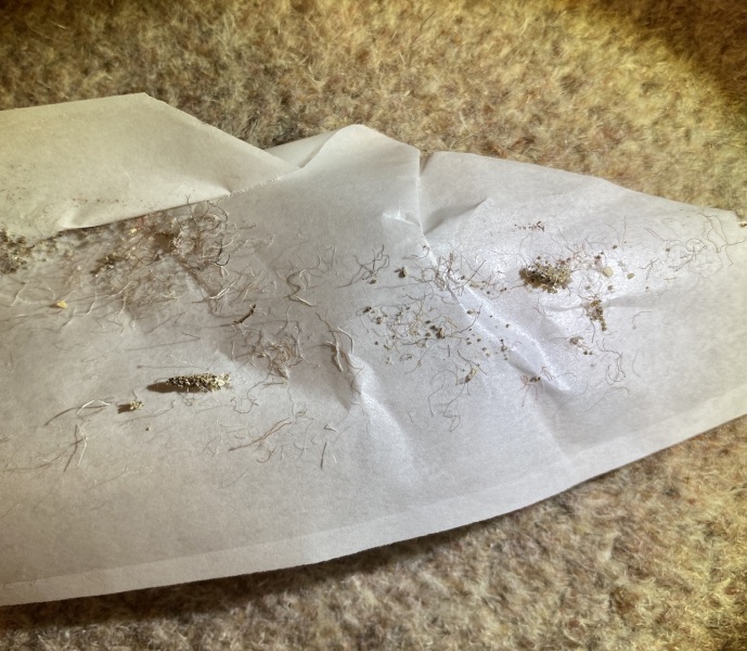 Will this make my moth problem better or worse?