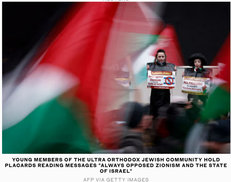 Do people fully support Palestine?