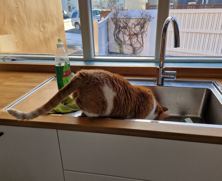 Lap dances, strippers and punch-ups - the Excellent Cats arrange a stag party