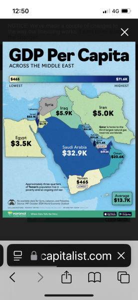 Do people fully support Palestine?