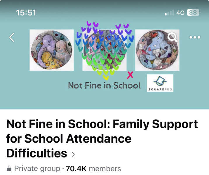 DS school refusal is driving me mad