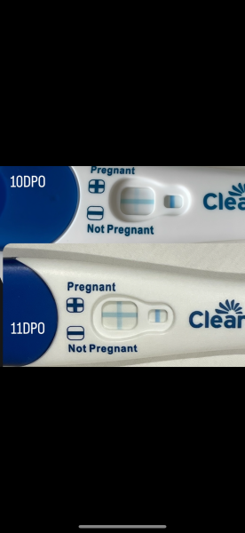 Confused about pregnancy test