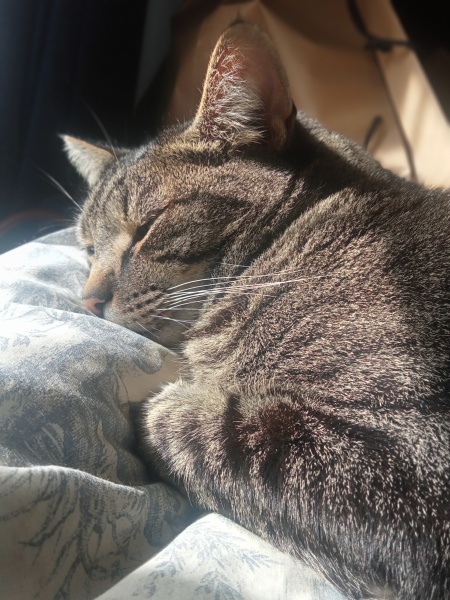 The Year Round Nigel Slater Discussion thread