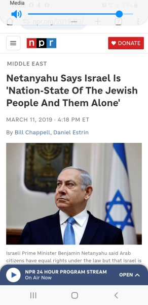 Do people fully support Palestine?