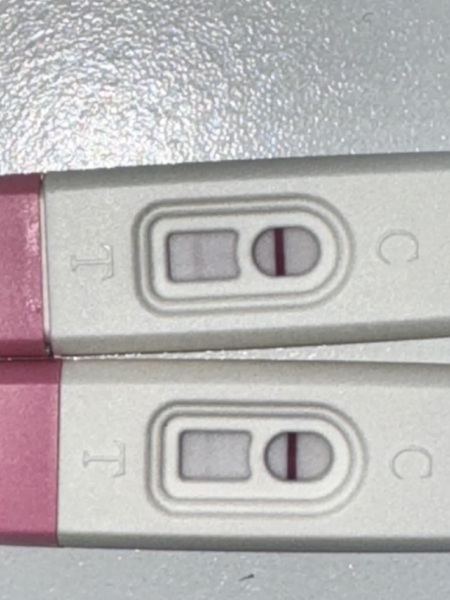 11-12 dpo