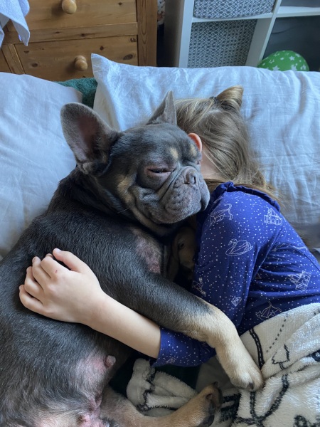 Help! Dogs skin