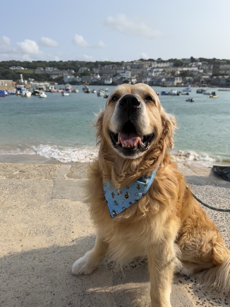 The Year Round Nigel Slater Discussion thread