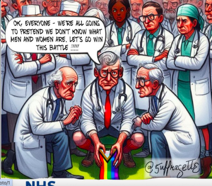 NHS Fife tries to silence nurse - Sandie Peggie vs NHS Fife Health Board and Dr Beth Upton - thread #20