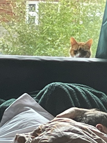 Lap dances, strippers and punch-ups - the Excellent Cats arrange a stag party