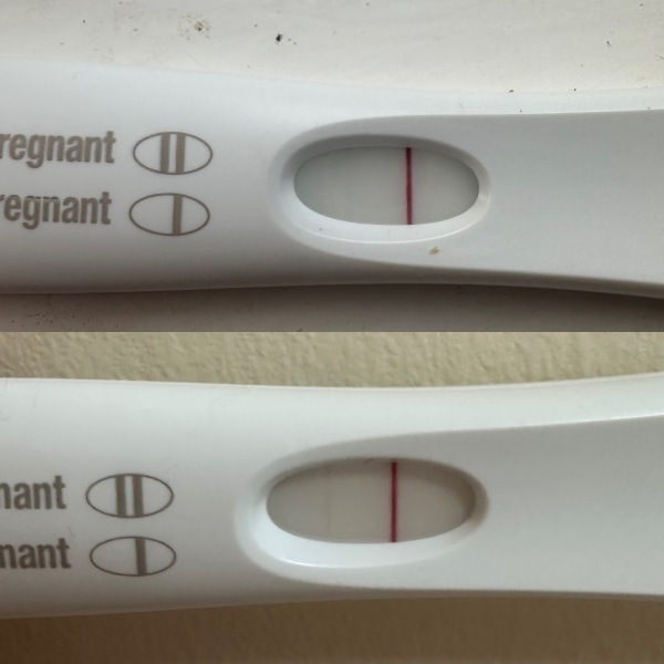 February 2025 TTC Support Group Part 2!