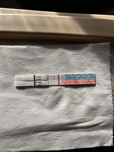 Do these tests look like faint positives or am I losing it 🥵