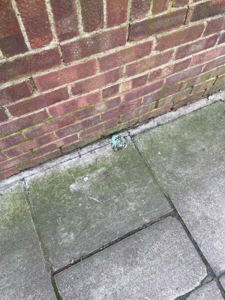 So much dog poo - what can be done?
