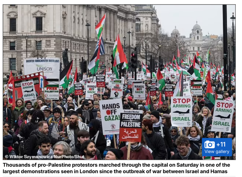 Do people fully support Palestine?