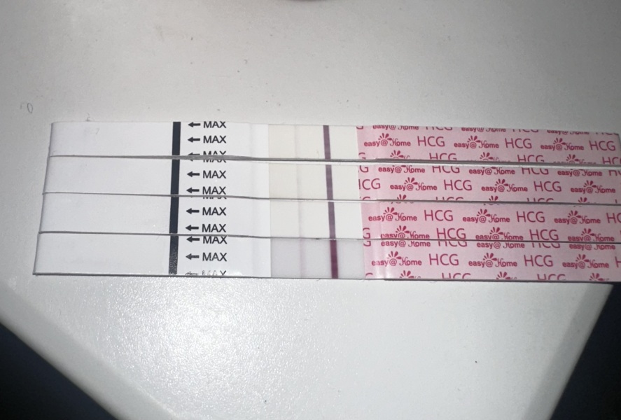 February 2025 TTC Support Group Part 2!