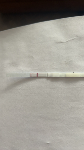 11dpo