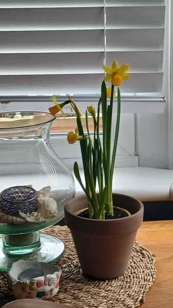 It very easy to get round your photo check