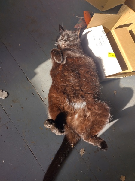 Lap dances, strippers and punch-ups - the Excellent Cats arrange a stag party