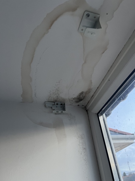 Window leak - nobody can figure out where the water is coming in from!!