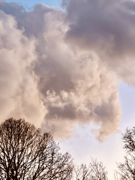 The Year Round Nigel Slater Discussion thread