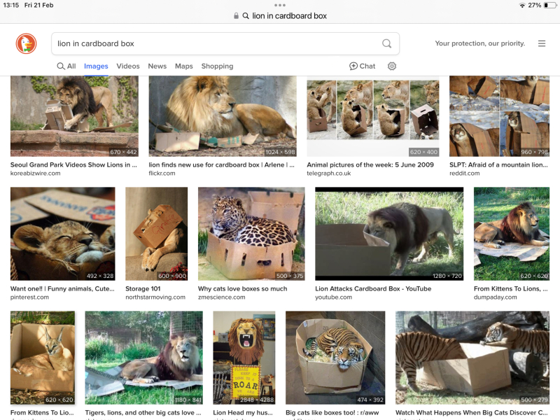 The Bluestocking. All gerbils welcome, must have own frou-frou skirt.