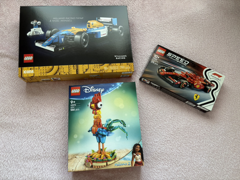 To show me your Lego collection?