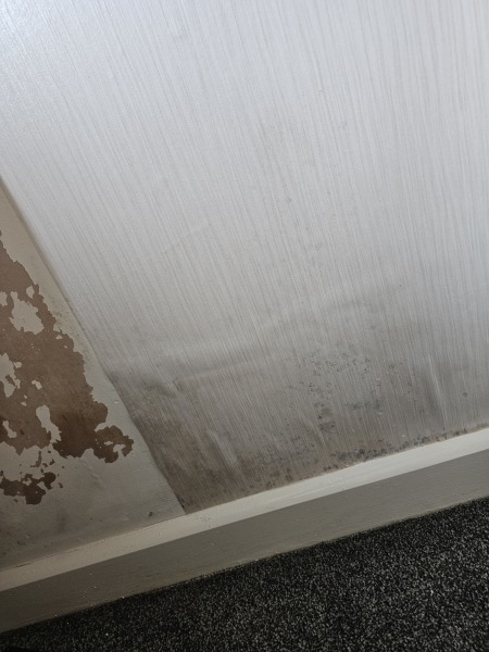 Move on friday - mold on wall HELP