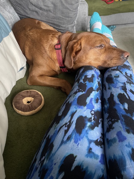 Ho ho ho...here we go round again! Countdown to Christmas 2025, thread 1