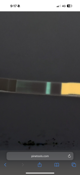 Can anyone see anything