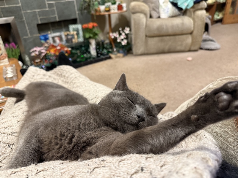 Lap dances, strippers and punch-ups - the Excellent Cats arrange a stag party