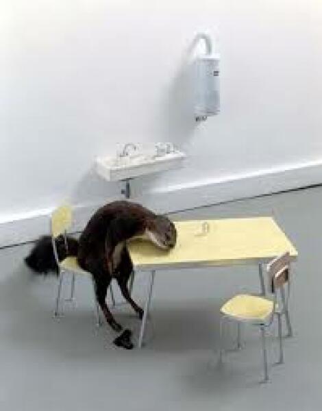 Anyone ordered a temporary pop up morgue before?