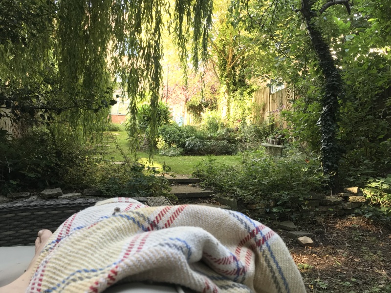 Large trees in garden