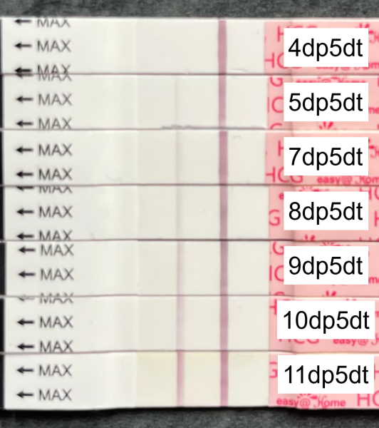 February/March FET