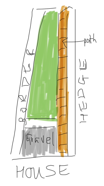 Clueless beginner gardener - help!