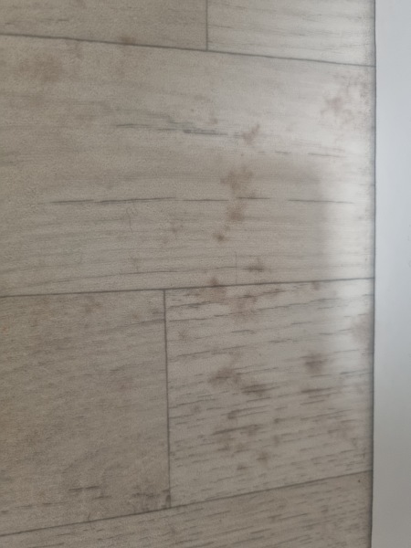 What floor cleaner does everyone use?