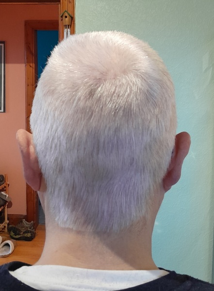 When is it time to just embrace the grey?
