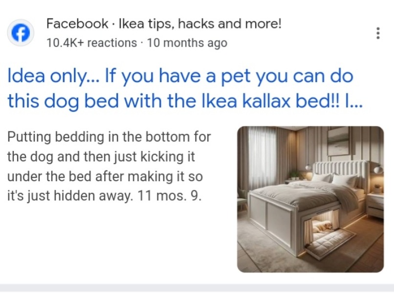 Dog wants to sleep on our bed- crying
