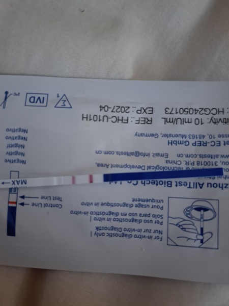 How long until tests become negative?