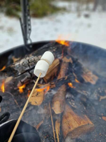 The Year Round Nigel Slater Discussion thread